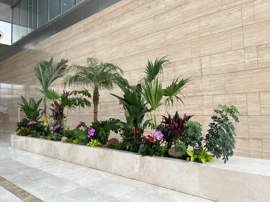 宁波海曙花卉租赁，优质服务大揭秘！